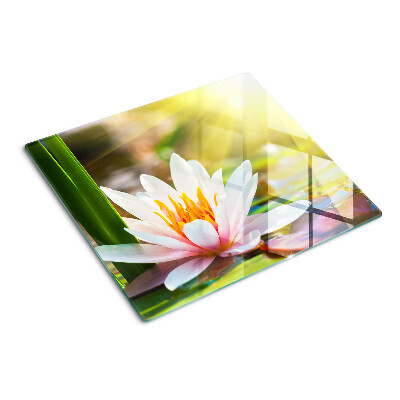 Glass kitchen board Water lily in sunlight