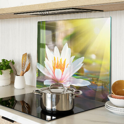 Glass kitchen board Water lily in sunlight