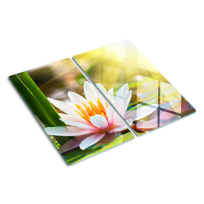 Glass kitchen board Water lily in sunlight