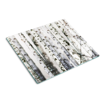 Glass kitchen board White birches in the forest