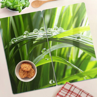 Glass kitchen board Drops of water on the grass