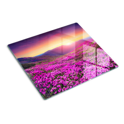 Glass kitchen board Flower landscape at sunset