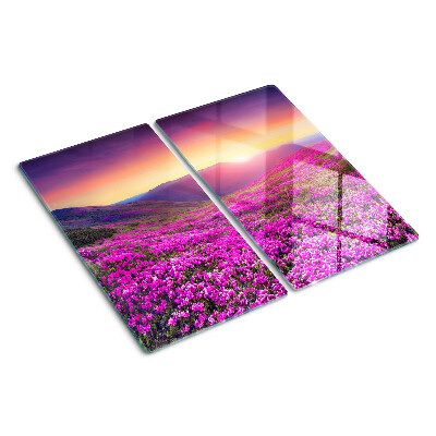 Glass kitchen board Flower landscape at sunset