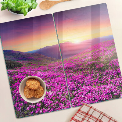 Glass kitchen board Flower landscape at sunset