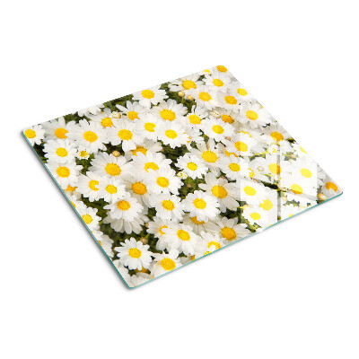 Glass kitchen board Daisies on a white background