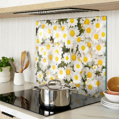 Glass kitchen board Daisies on a white background
