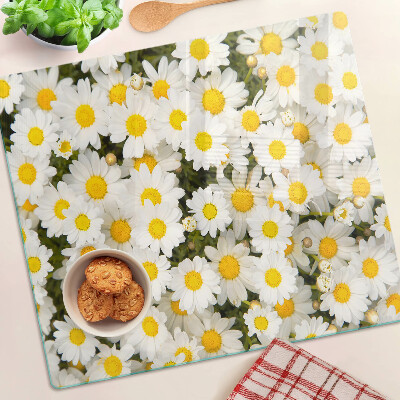 Glass kitchen board Daisies on a white background