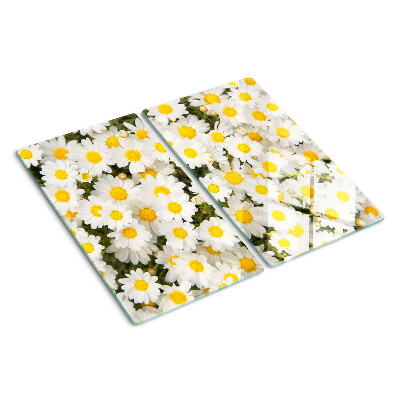 Glass kitchen board Daisies on a white background