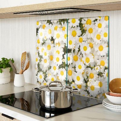 Glass kitchen board Daisies on a white background