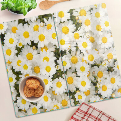 Glass kitchen board Daisies on a white background