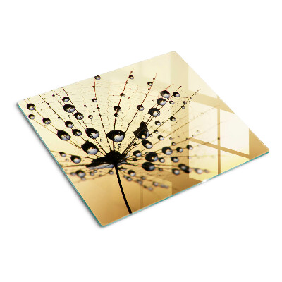 Glass kitchen board Water drops on a spider's web