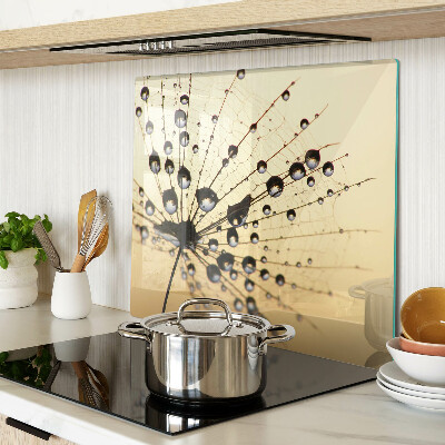 Glass kitchen board Water drops on a spider's web