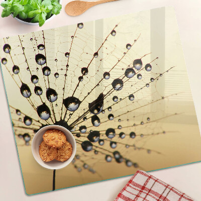 Glass kitchen board Water drops on a spider's web
