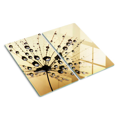Glass kitchen board Water drops on a spider's web
