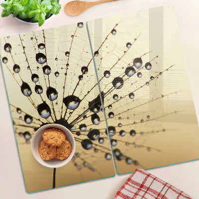 Glass kitchen board Water drops on a spider's web