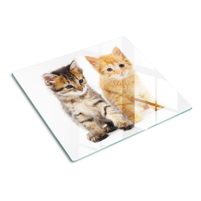 Glass kitchen board Cats on a white background