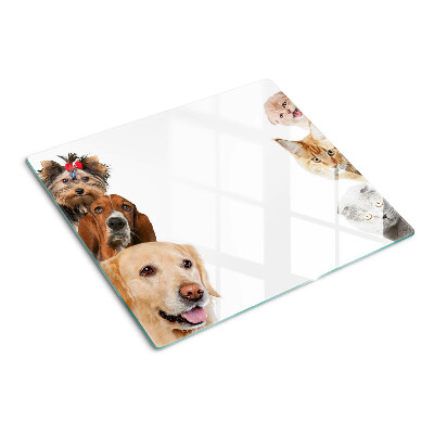 Glass chopping board Dogs and cats in different poses