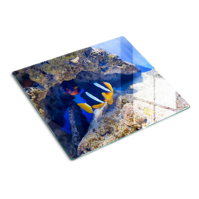 Glass kitchen board Fish in a coral reef