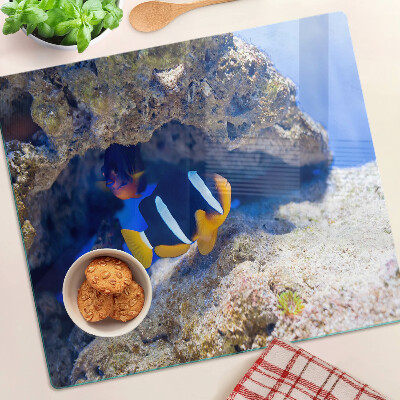 Glass kitchen board Fish in a coral reef