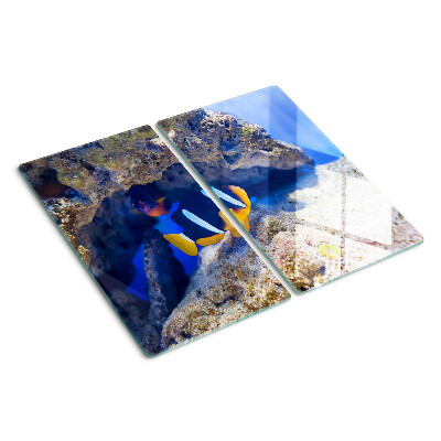Glass kitchen board Fish in a coral reef