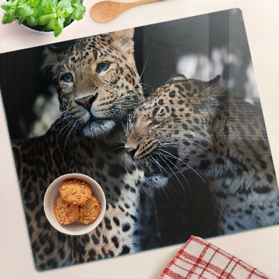 Glass kitchen board Cheetahs on a dark background