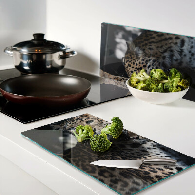 Glass kitchen board Cheetahs on a dark background