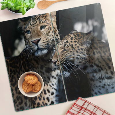 Glass kitchen board Cheetahs on a dark background
