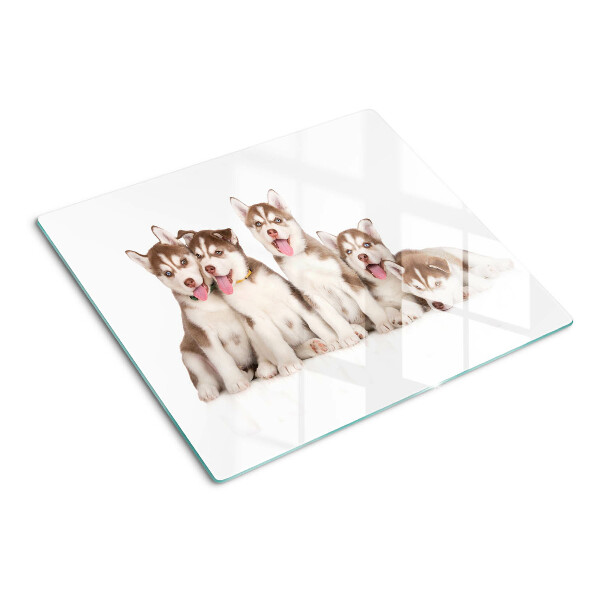Glass kitchen board Husky puppies