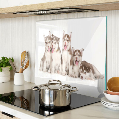 Glass kitchen board Husky puppies