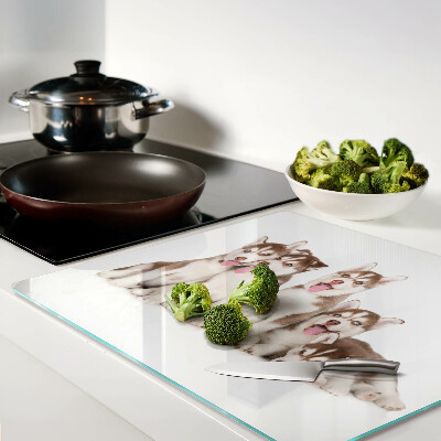 Glass kitchen board Husky puppies