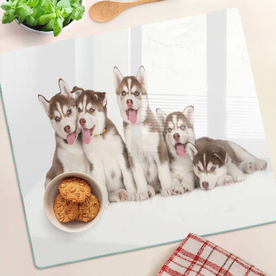 Glass kitchen board Husky puppies