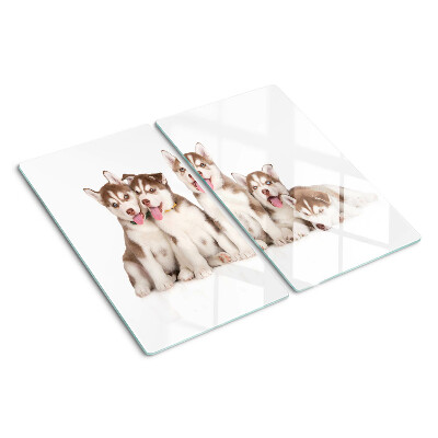 Glass kitchen board Husky puppies
