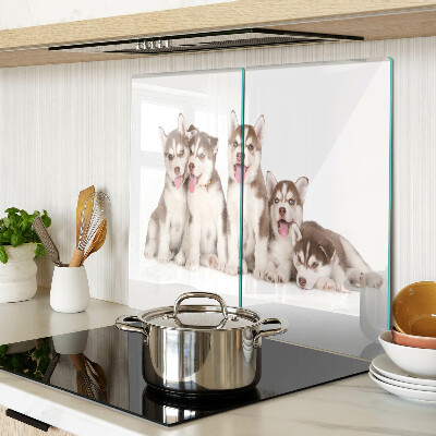 Glass kitchen board Husky puppies