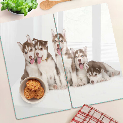 Glass kitchen board Husky puppies