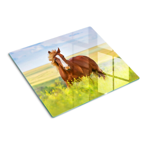 Glass kitchen board Horse in the meadow