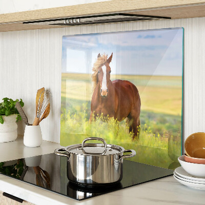Glass kitchen board Horse in the meadow