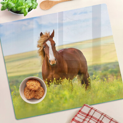 Glass kitchen board Horse in the meadow