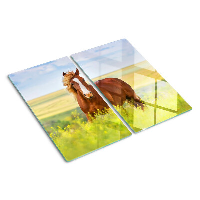 Glass kitchen board Horse in the meadow