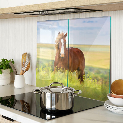 Glass kitchen board Horse in the meadow