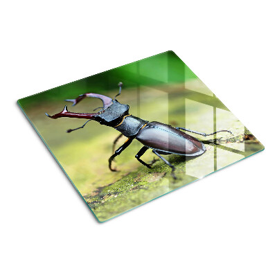 Glass chopping board Stag beetle on a green background