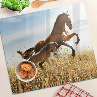 Glass kitchen board Horses in a meadow in the sun