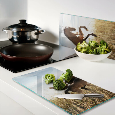 Glass kitchen board Horses in a meadow in the sun