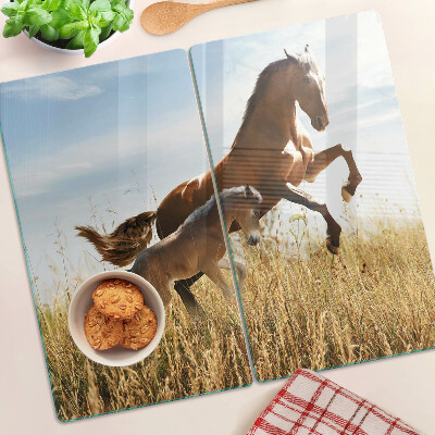 Glass kitchen board Horses in a meadow in the sun