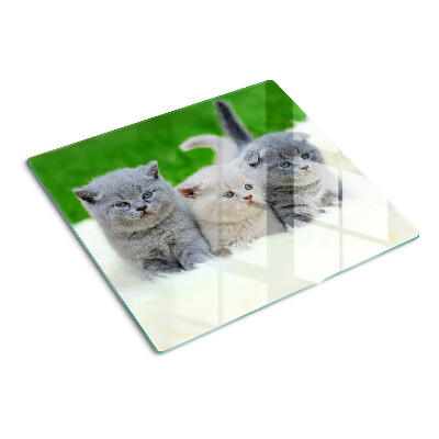 Glass kitchen board Kittens on a green background