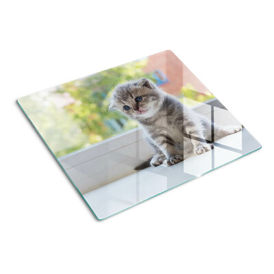 Glass kitchen board Kitten on the windowsill