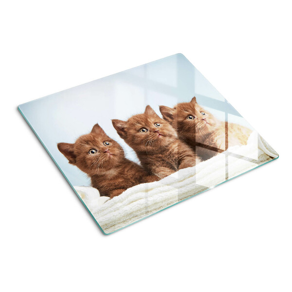 Glass kitchen board Three brown cats
