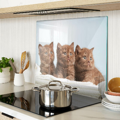Glass kitchen board Three brown cats