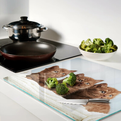 Glass kitchen board Three brown cats
