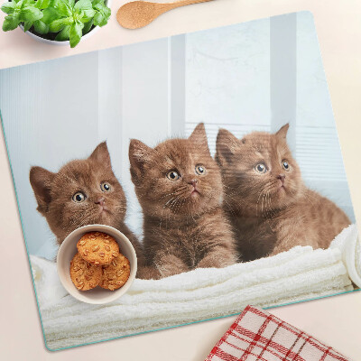 Glass kitchen board Three brown cats