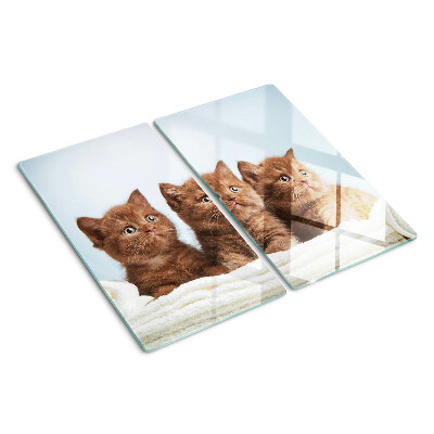 Glass kitchen board Three brown cats